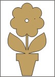 Flower in pot